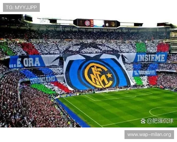 关于AC米兰体育馆的详细介绍与历史背景解析
